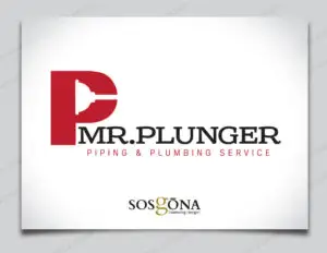 plunger